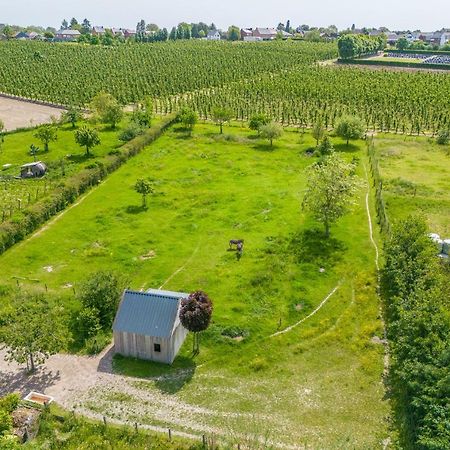 Unique Hideaway, Holiday House With Large Garden Kortenaken Kültér fotó